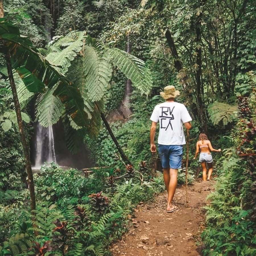 North Bali: Monkey Forest -Waterfall- Rice Terrace-Ulun Danu - Why this central Bali route works
