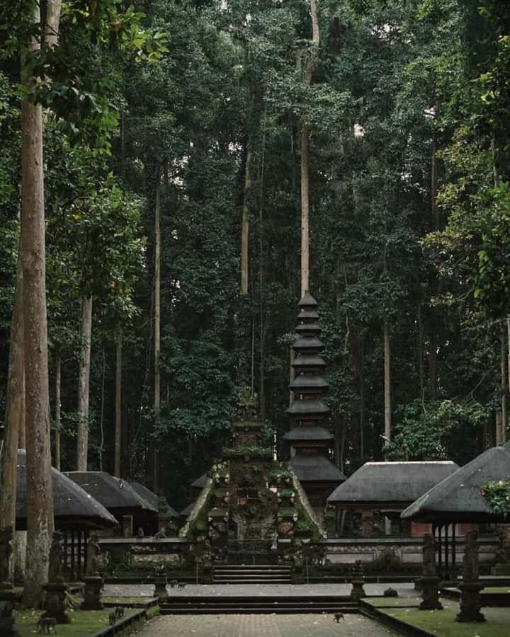 North Bali: Monkey Forest -Waterfall- Rice Terrace-Ulun Danu - Ulun Danu Beratan Temple beside the lake
