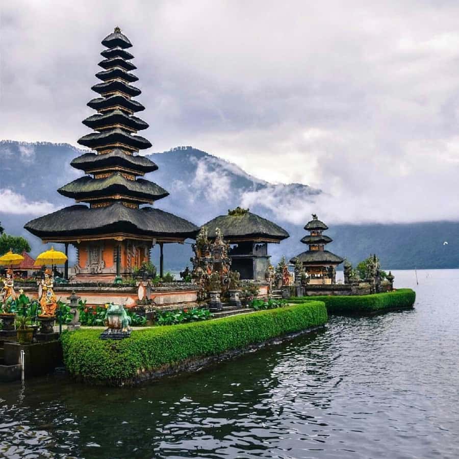 North Bali: Monkey Forest -Waterfall- Rice Terrace-Ulun Danu - Is $41 per person good value?
