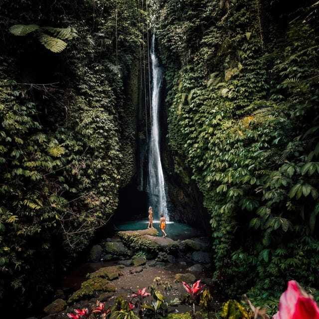 North Bali: Monkey Forest -Waterfall- Rice Terrace-Ulun Danu - Who should book this tour?