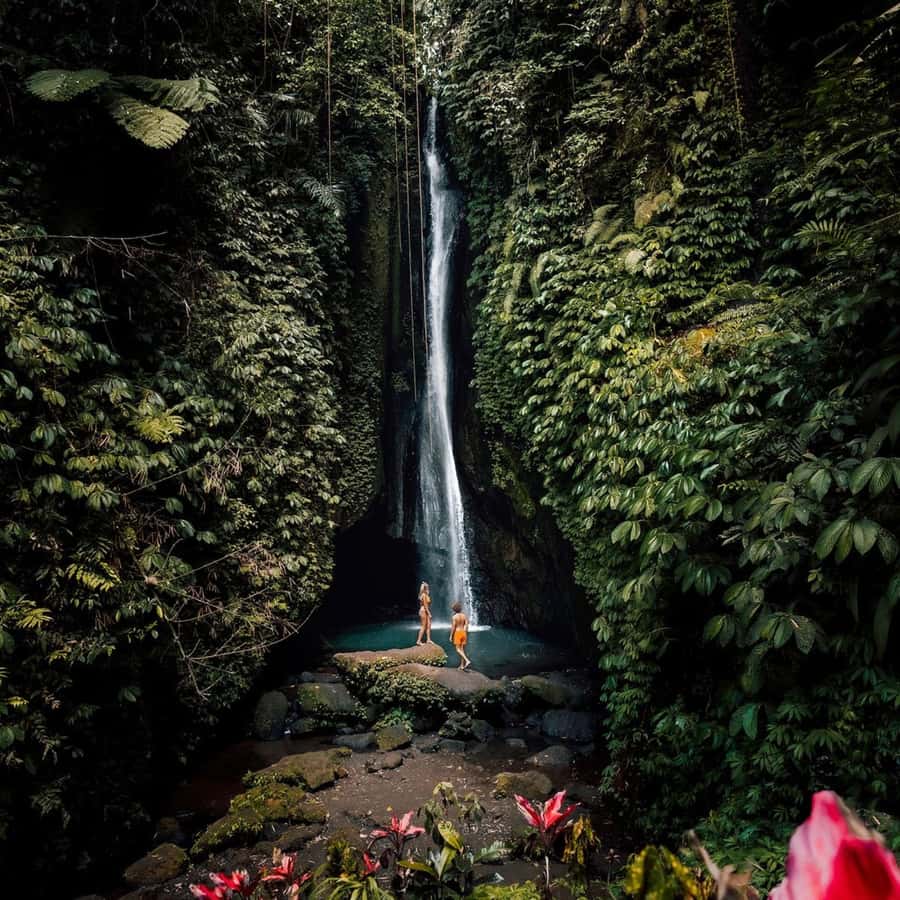 North Bali: Monkey Forest -Waterfall- Rice Terrace-Ulun Danu - Sangeh Monkey Forest and its macaques