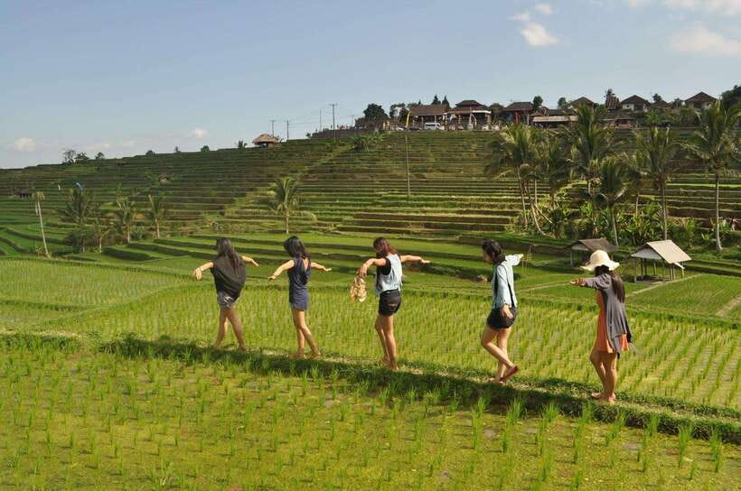 North Bali: Private Day Tour with Banyumala Waterfall - Jatiluwih Rice Terrace: allow time for the grand finale