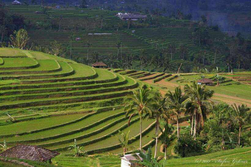 North Bali: Private Day Tour with Banyumala Waterfall - The drive is part of the experience
