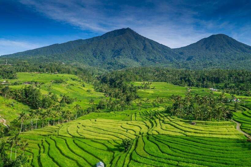 North Bali: Private Day Tour with Banyumala Waterfall - Ulun Danu Beratan Temple beside the lake