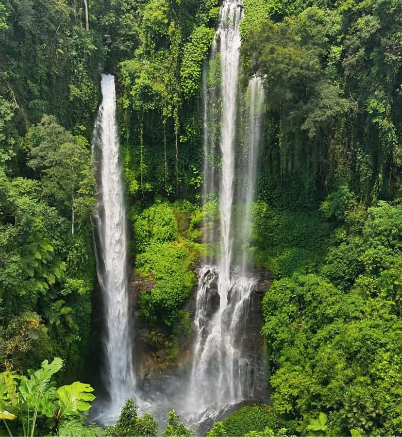 North Bali: Sekumpul and Banyumala Waterfalls & Rice Terrace - Key points to know before booking