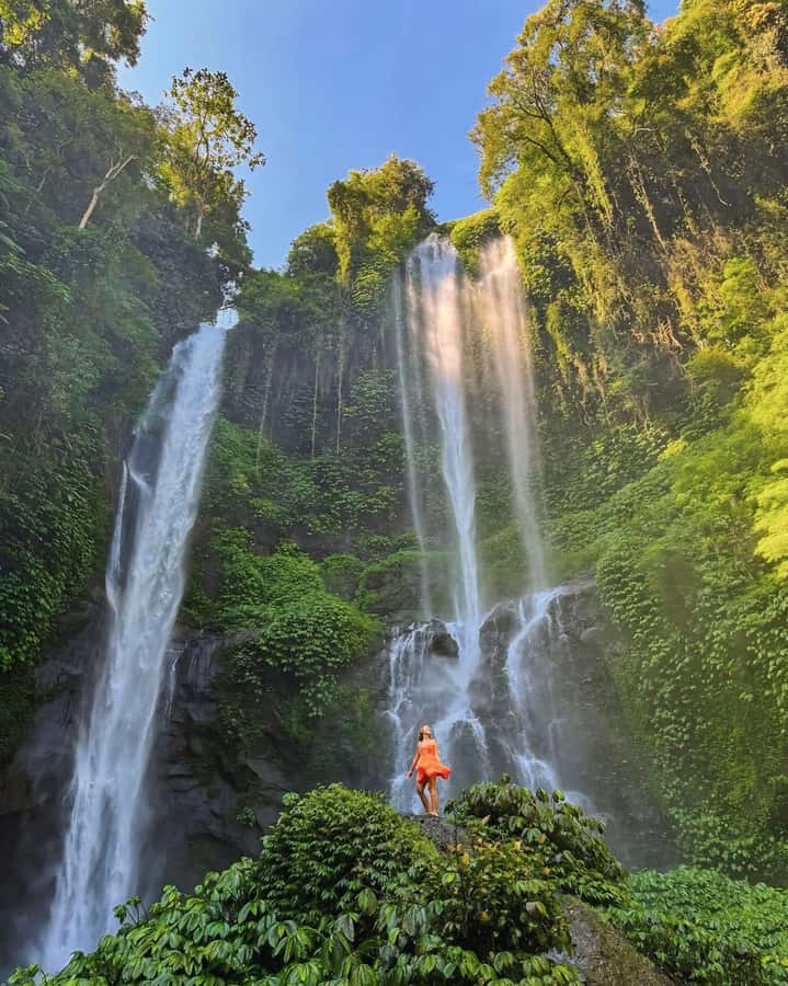 North Bali: Sekumpul and Banyumala Waterfalls & Rice Terrace - The guide can shape the whole experience