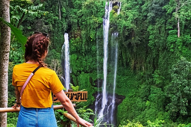North Bali: Sekumpul Waterfalls and Ulun Danu Temple Tour - Should you book it?