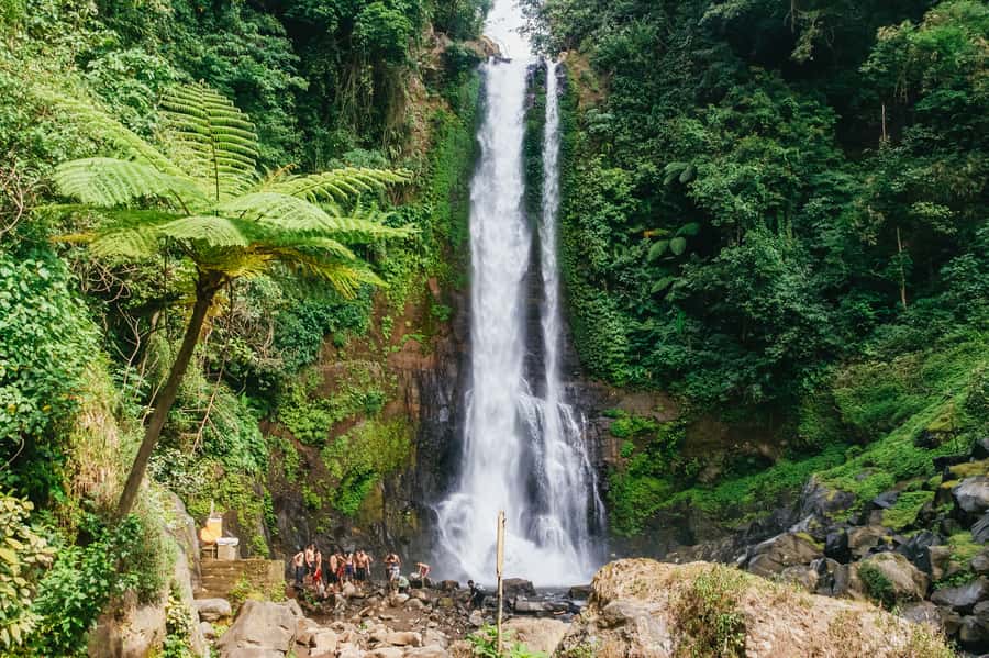 North Bali: Sunrise Tour with Dolphins, Waterfalls & Temples - Key points at a glance
