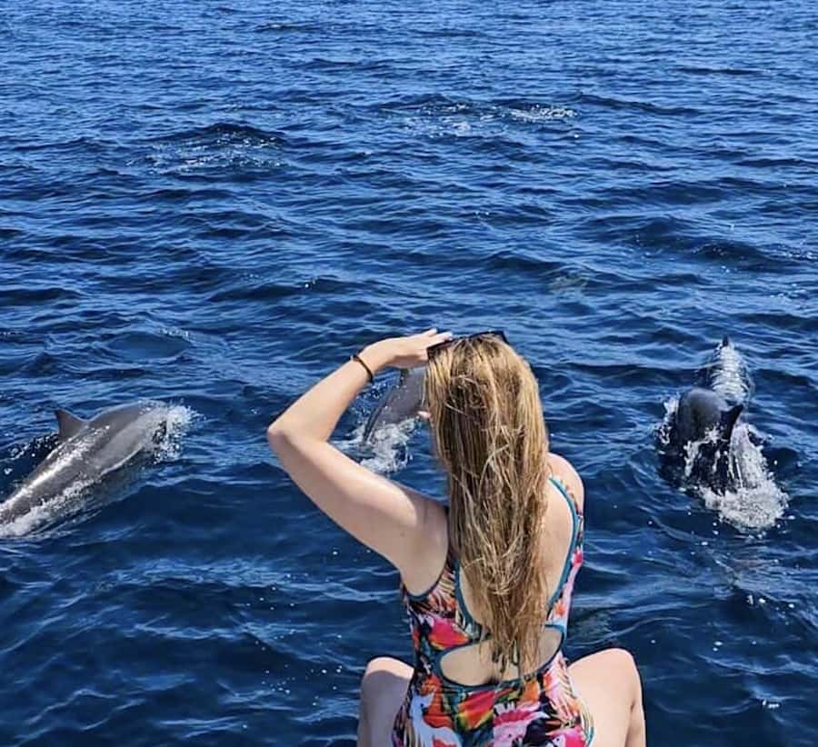 North Bali: Sunrise Tour with Dolphins, Waterfalls & Temples - Sunrise and dolphins off Lovina