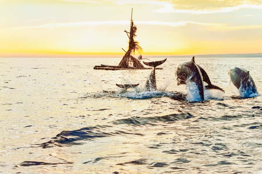 North Bali: Sunrise Tour with Dolphins, Waterfalls & Temples - Drivers and boat crews matter here