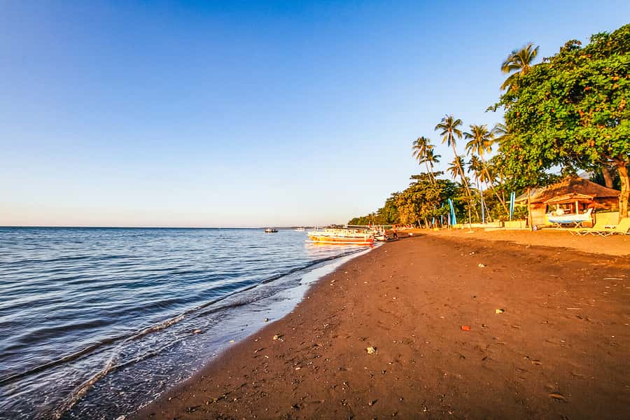 North Bali: Sunrise Tour with Dolphins, Waterfalls & Temples - How to prepare for the long day