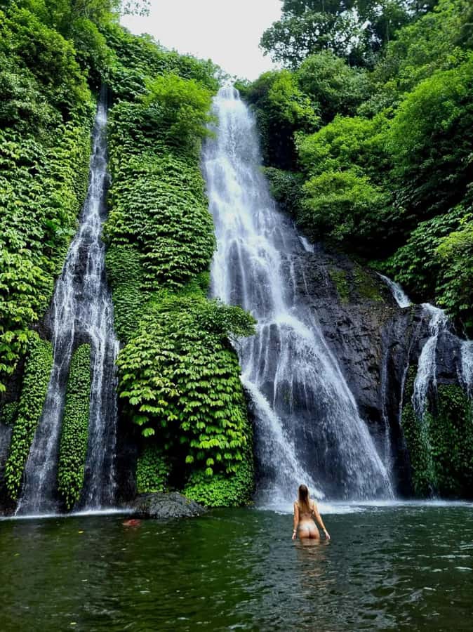 North Bali Trip with 2 Hidden Waterfalls Private Tour - Key points before you book