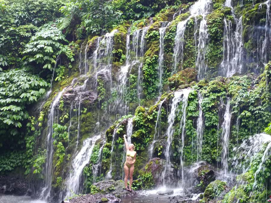 North Bali Trip with 2 Hidden Waterfalls Private Tour - Banyumana Amertha and the 20-minute plantation walk