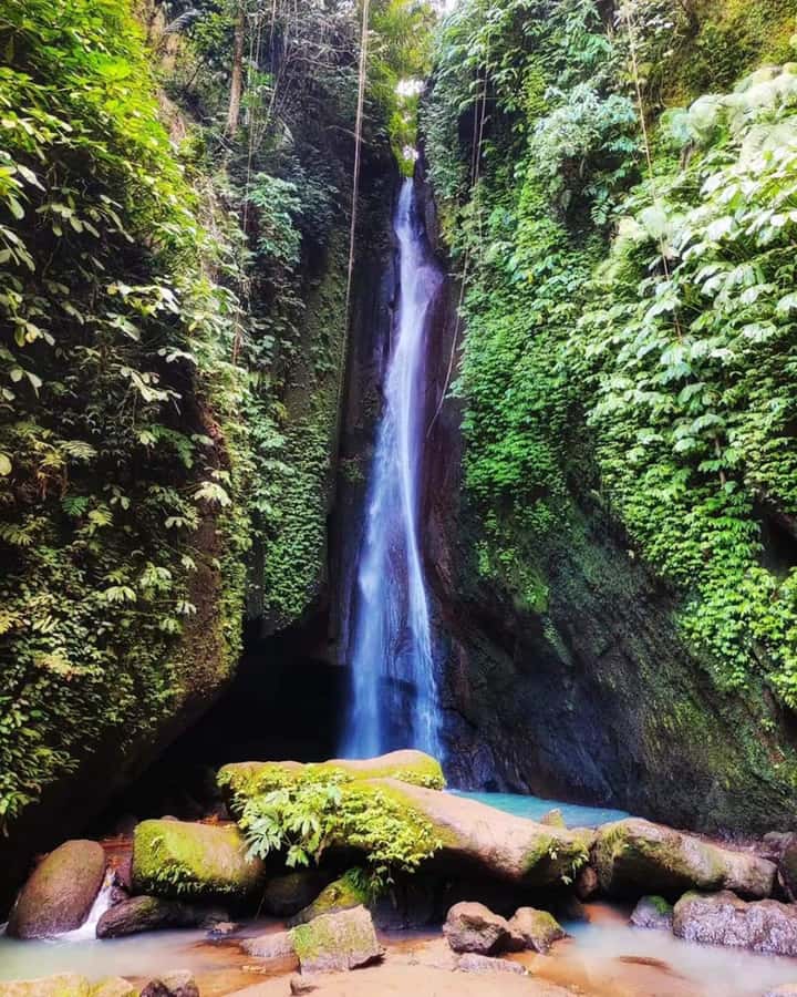 North Bali Trip with 2 Hidden Waterfalls Private Tour - Lunch, pricing, and what the $41 covers