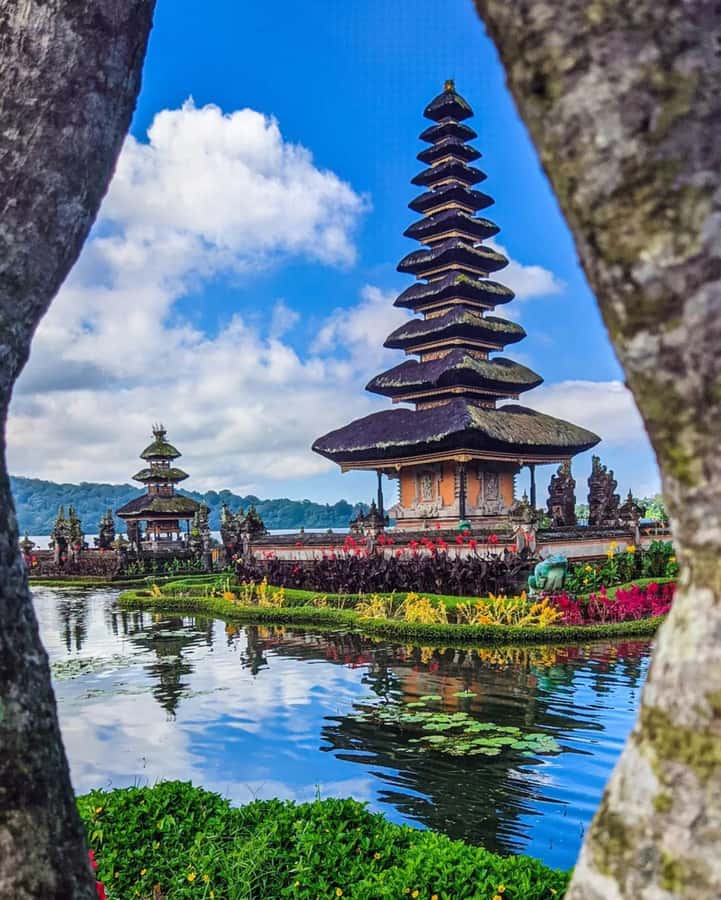 North Bali: Ulun Danu, Waterfalls, Swing and Monkey Forest - Timing, traffic, and what to pack