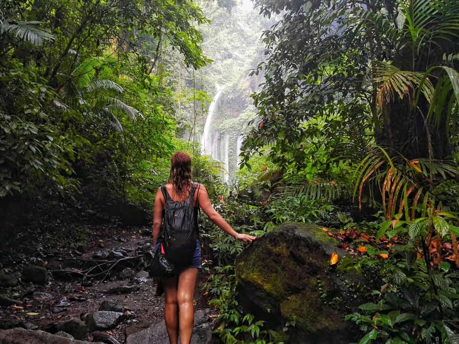 North Lombok: Sendang Gile Waterfall & Senaru Village Tour - Key points before you book
