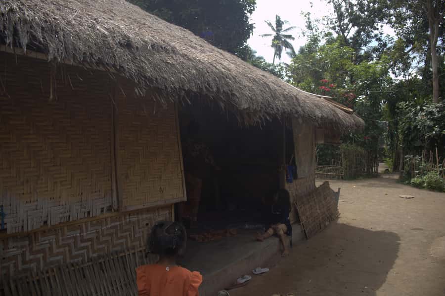 North Lombok: Sendang Gile Waterfall & Senaru Village Tour - The private coach matters more than it first appears