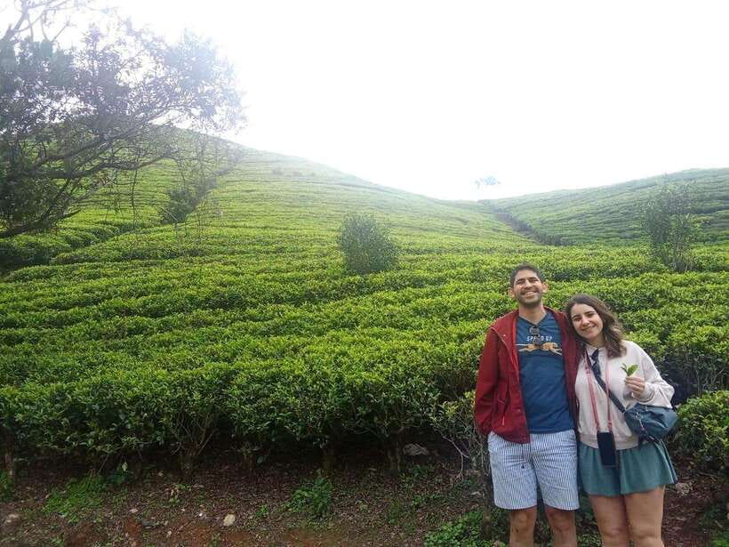 Nuwara Eliya Full day: 5Waterfalls, 2Tea Test & pick by TUK - Poona Ella, Dunsinane, and Ramboda