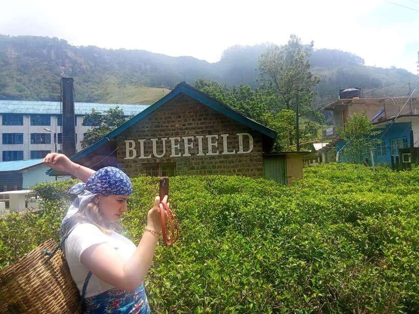 Nuwara Eliya Full day: 5Waterfalls, 2Tea Test & pick by TUK - Food, Weather, and What to Bring