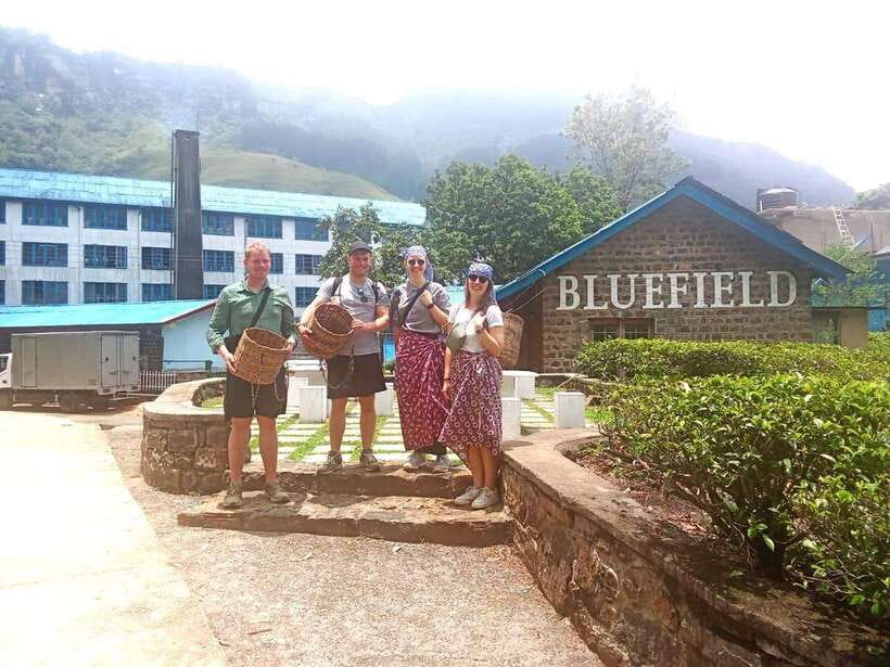 Nuwara Eliya: Tea Factory and Pickle Waterfalls Tuk Tuk Tour - Who will get the most from this tour?