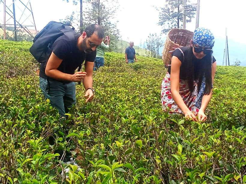 Nuwara Eliya: Tea Factory and Pickle Waterfalls Tuk Tuk Tour - Small details that make the day easier