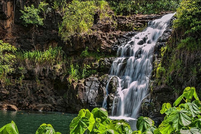 Oahu Circle Island Tour with Waimea Waterfall - Five things to know before booking