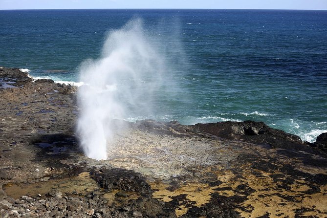 Oahu Circle Island Tour with Waimea Waterfall - Dole Plantation and the long ride home