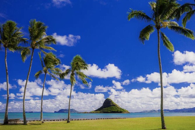 Oahu Circle Island Tour with Waimea Waterfall - How much value do you get for $154?