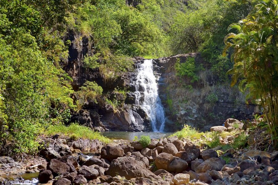 Oahu: Complete Island Tour with Tropical Waterfall Swimming - Waimea Valley and the waterfall swim