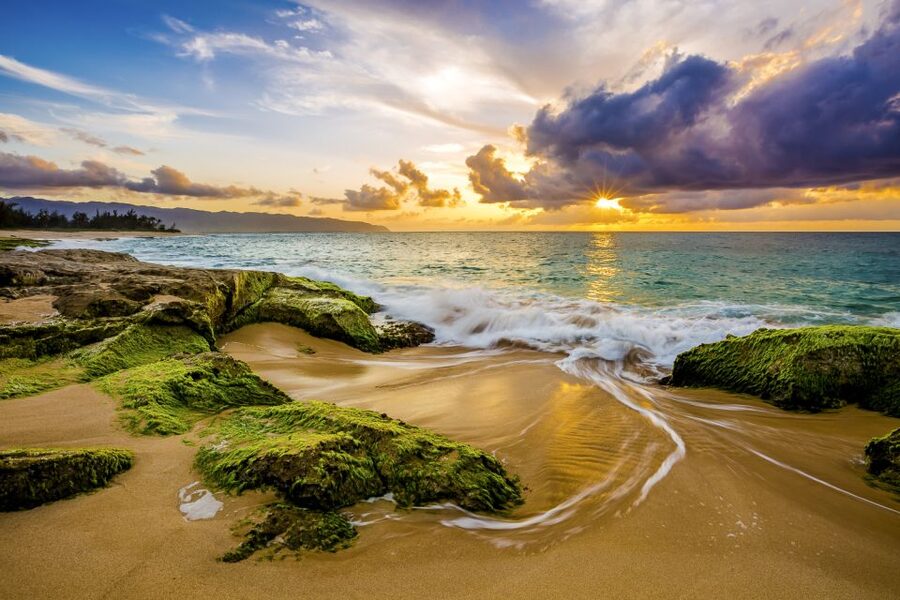 Oahu: Complete Island Tour with Tropical Waterfall Swimming - Kahuku food trucks and the taste of the North Shore