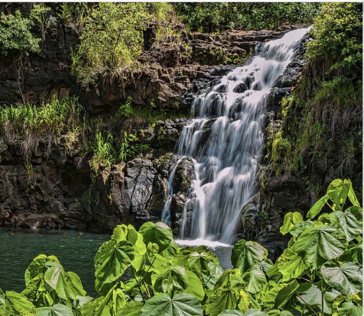 Oahu Hidden Gems & Waimea Botanical Garden/Waterfall tour - A long Oahu day that begins in Waikiki