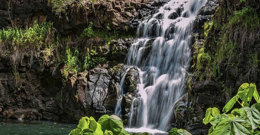 Oahu Hidden Gems & Waimea Botanical Garden/Waterfall tour - Pali Lookout connects scenery with Hawaiian history