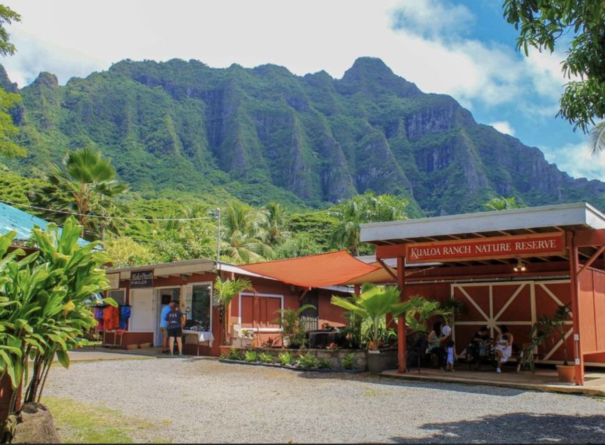 Oahu Hidden Gems & Waimea Botanical Garden/Waterfall tour - Swimming at the waterfall
