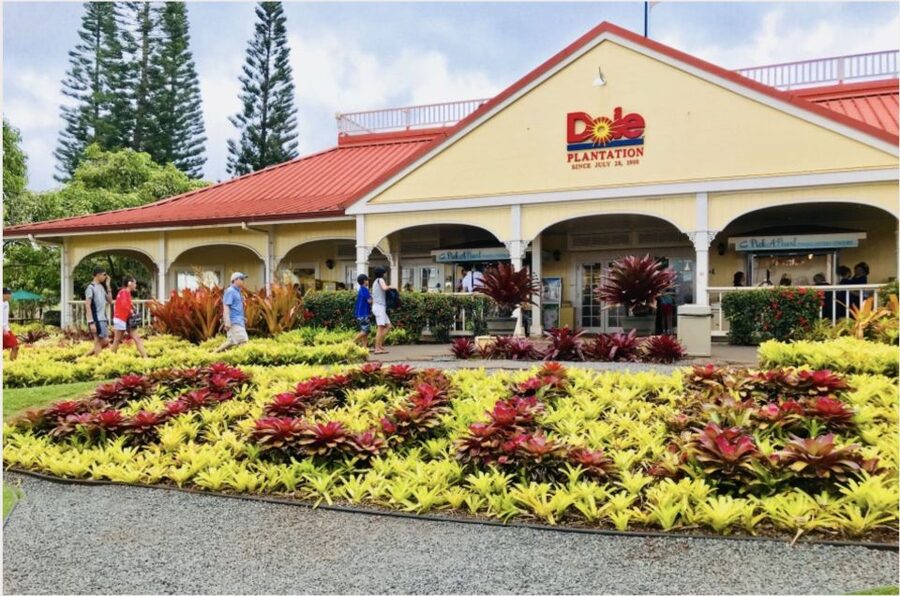 Oahu Hidden Gems & Waimea Botanical Garden/Waterfall tour - The macadamia nut farm is similar
