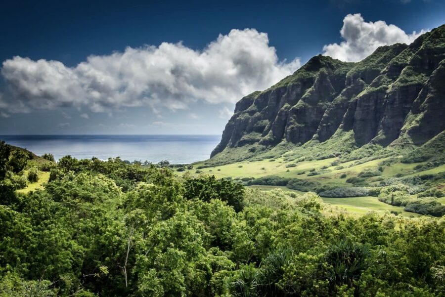 Oahu Hidden Gems & Waimea Botanical Garden/Waterfall tour - Halona Blow Hole and the southeastern coast