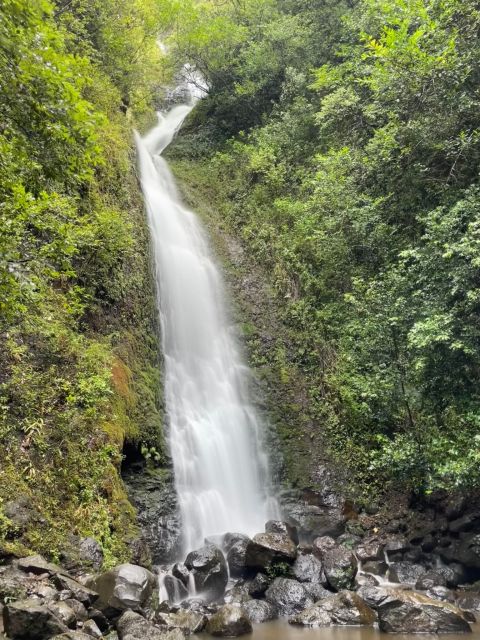 Oahu: Hidden Hawaii Waterfall Hike and Beach Tour - A small Oahu tour with a personal feel
