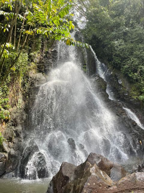Oahu: Hidden Hawaii Waterfall Hike and Beach Tour - What the guide adds to the day