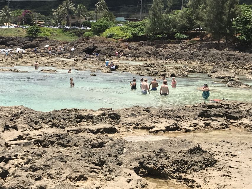 Oahu: Manoa Falls Hike and east side beach day - Is $150 a fair price?