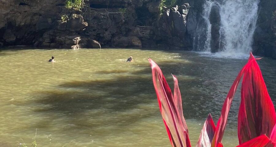 Oahu: Valley of Waimea Falls Swim & Hike with Lunch & Dole - Is $134 a fair price?