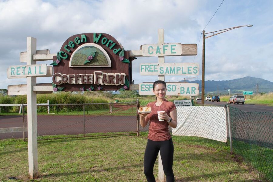 Oahu: Valley of Waimea Falls Swim & Hike with Lunch & Dole - Why this eight-hour outing works well