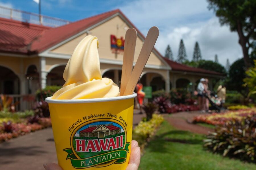 Oahu: Valley of Waimea Falls Swim & Hike with Lunch & Dole - Coffee and breakfast at Greenworld Coffee Farm