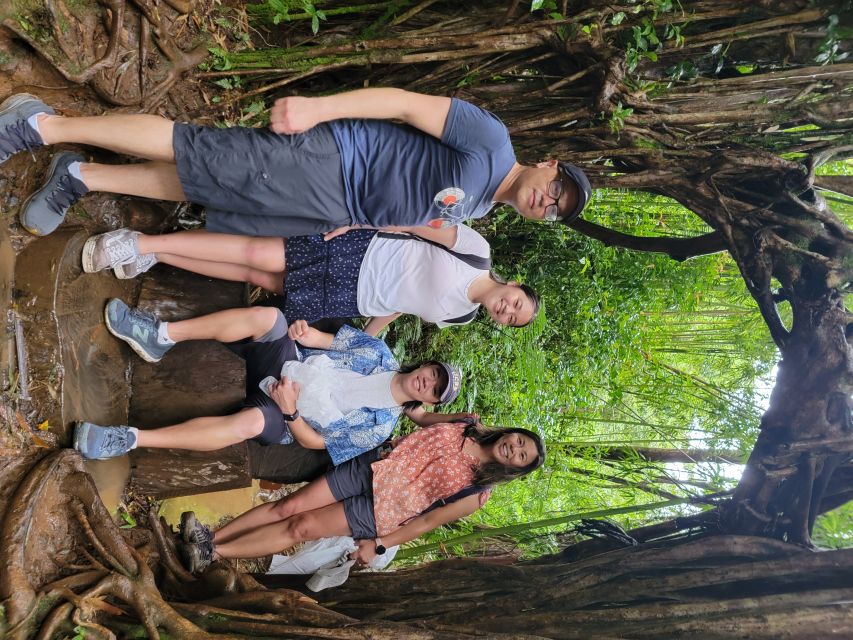 Oahu: Waikiki E-Bike Ride and Manoa Falls Hike - A four-hour outing with a useful rhythm