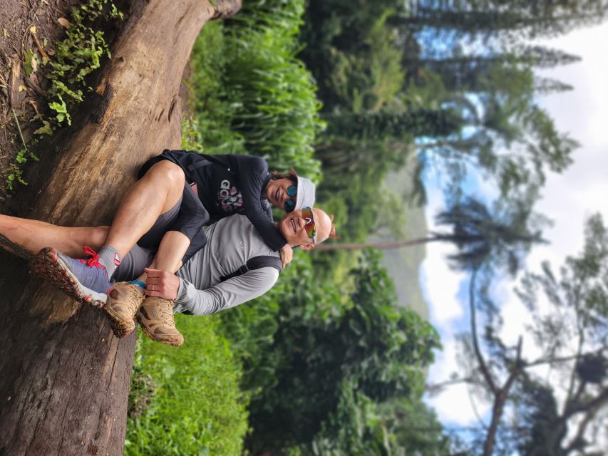 Oahu: Waikiki E-Bike Ride and Manoa Falls Hike - Water, photos, and the optional shave ice stop