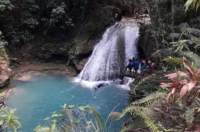 Ocho Rios Blue Hole and Dunn's River Falls Tour - Who should book this experience?