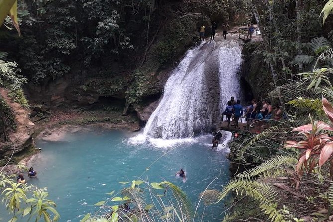 Ocho Rios Blue Hole and Dunn's River Falls Tour - The Blue Hole: one hour of swimming and jumps