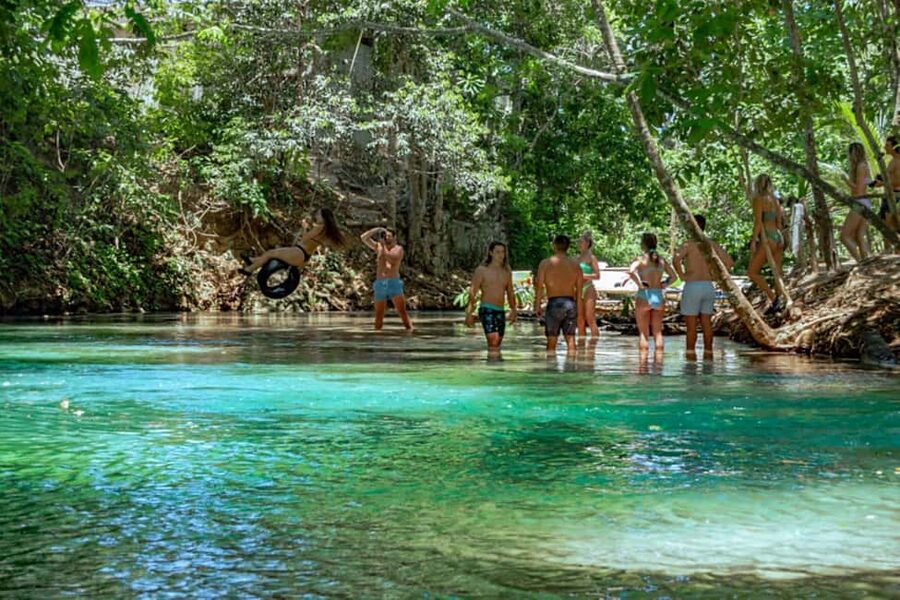 Ocho Rios: Dunn’s River Falls & Reggae Hill Tour - Dunn’s River Falls is the reason to book