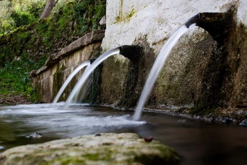 Off-Road: Waterfall, Lake Kournas, Gorges, Preveli Palms - Azilakas Forest and the first rough roads