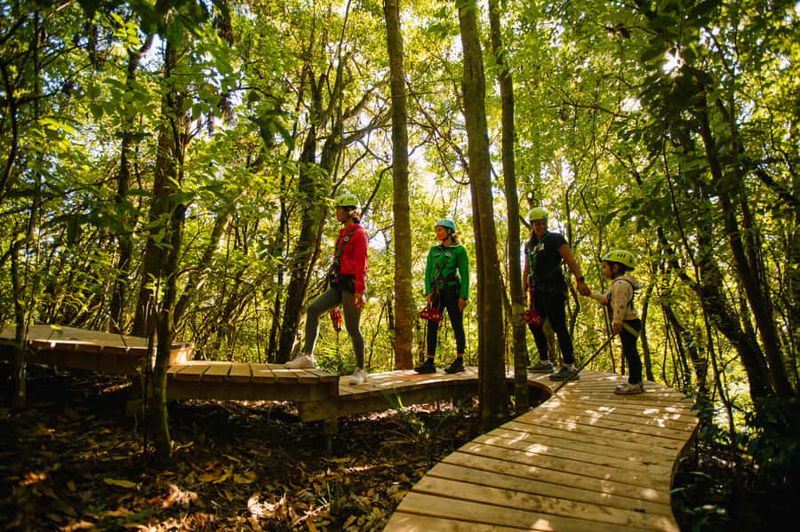 Okere Falls: Zipline over Waterfalls Experience - Tea, storytelling, and the meaning of Ōkere