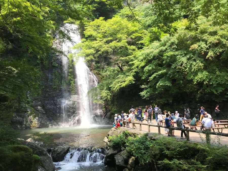 Osaka: Mino Forest Walk and Giant Waterfall with Local Lunch - Why Mino makes a smart break from Osaka