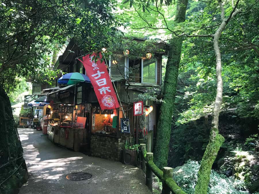 Osaka: Mino Forest Walk and Giant Waterfall with Local Lunch - The 30-minute forest walk leads to Mino Waterfall